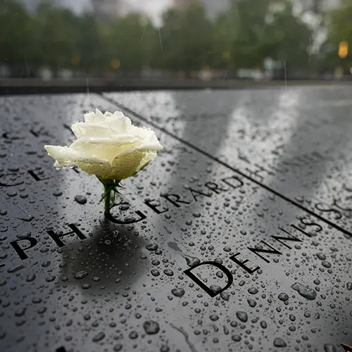 a rose left at the 911 Memorial in NYC